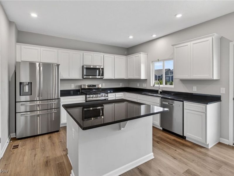 23663 Victory Lane, Columbia Station, OH 44028 Photo 13