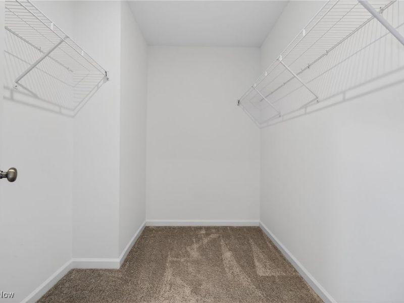 23663 Victory Lane, Columbia Station, OH 44028 Photo 35