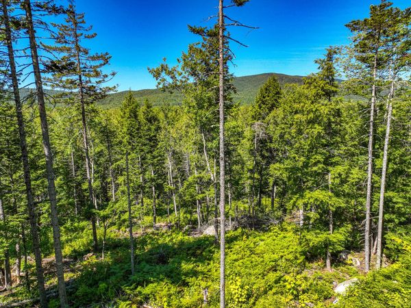 Lot 39 Sawyer Notch Road, Andover, ME 04216
