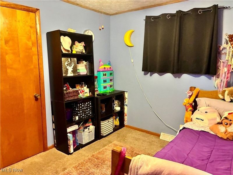 275 Walnut, Washingtonville, OH 44490 Photo 10