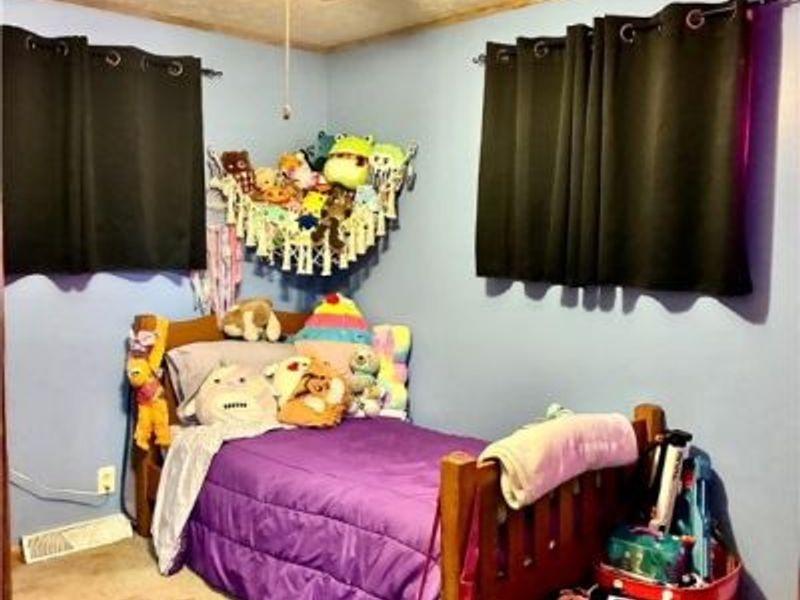 275 Walnut, Washingtonville, OH 44490 Photo 9