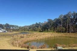 421 Talbot Drive photo 4