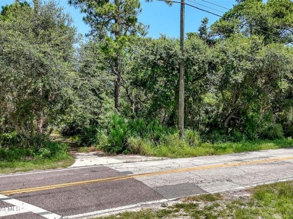 4300 BURKHOLM ROAD, MIMS, FL 32754