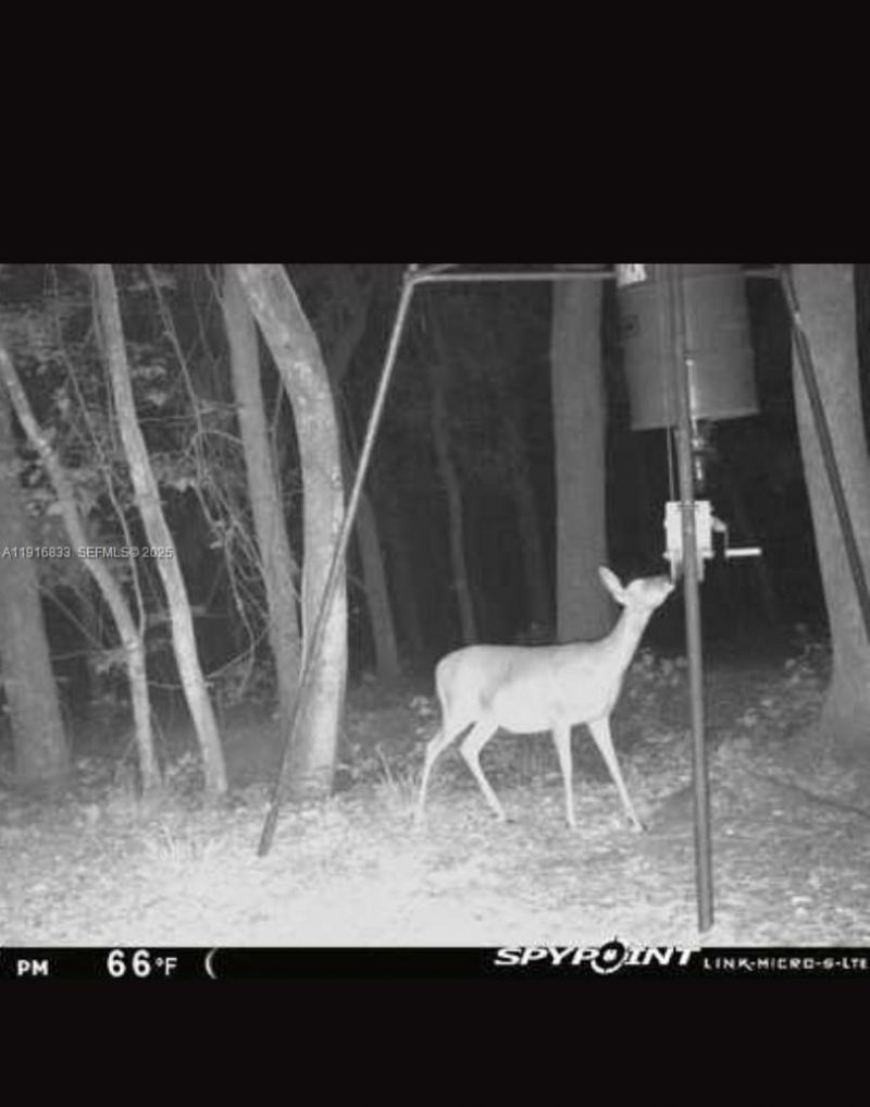 6169 County Road 209 S, Green Cove Springs, FL 32043 Photo