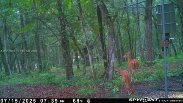 6169 County Road 209 S, Green Cove Springs, FL 32043 Photo