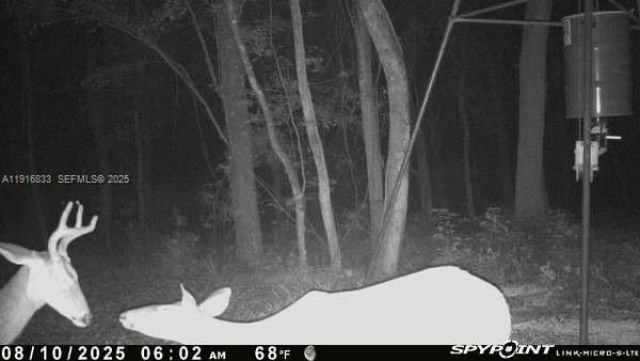 6169 County Road 209 S, Green Cove Springs, FL 32043 Photo