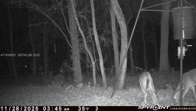 6169 County Road 209 S, Green Cove Springs, FL 32043 Photo