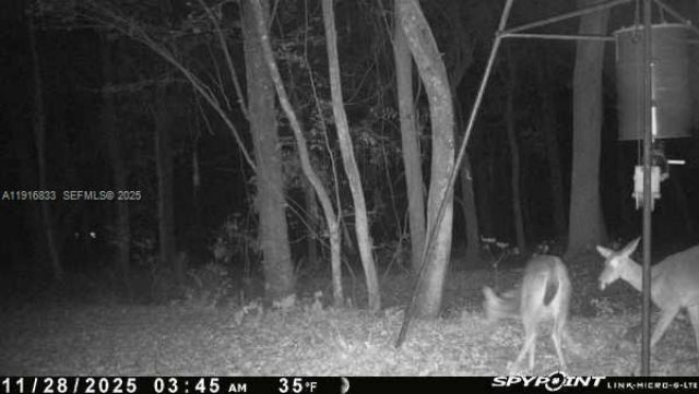 6169 County Road 209 S, Green Cove Springs, FL 32043 Photo