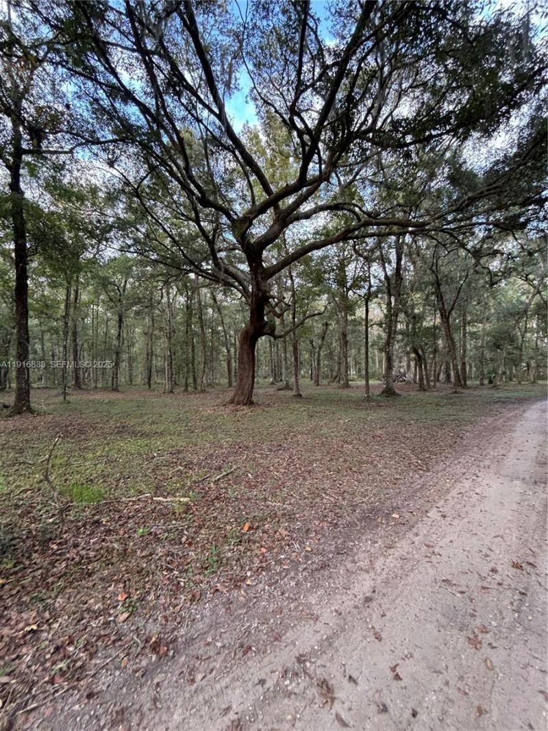 6169 County Road 209 S, Green Cove Springs, FL 32043 Photo