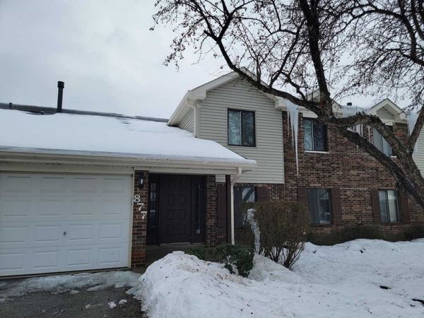 877 Cross Creek Drive, Unit B1, Roselle, IL 60172
