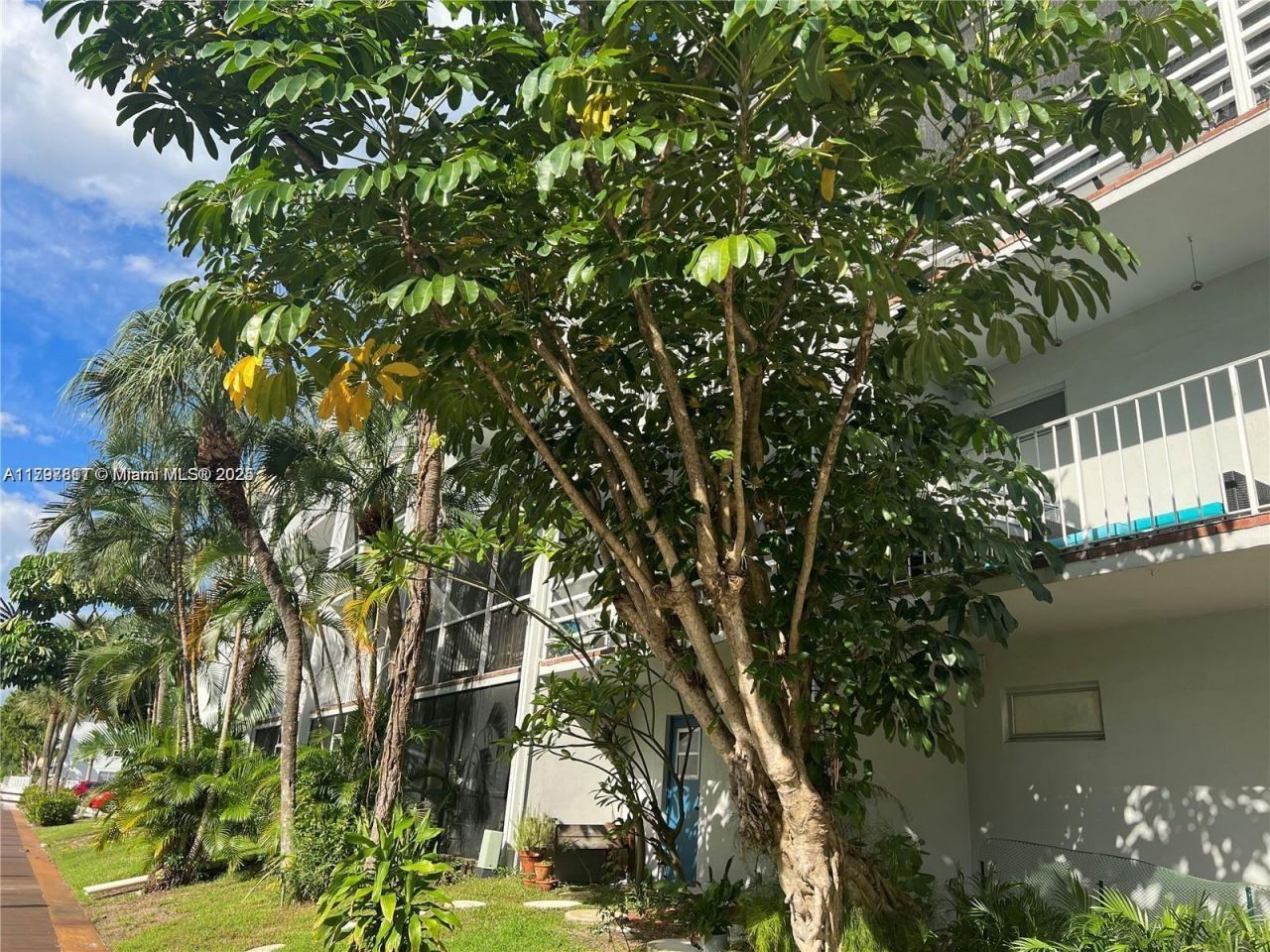 1407 NE 56th St, Unit 103, Fort Lauderdale, FL 33334 Photo