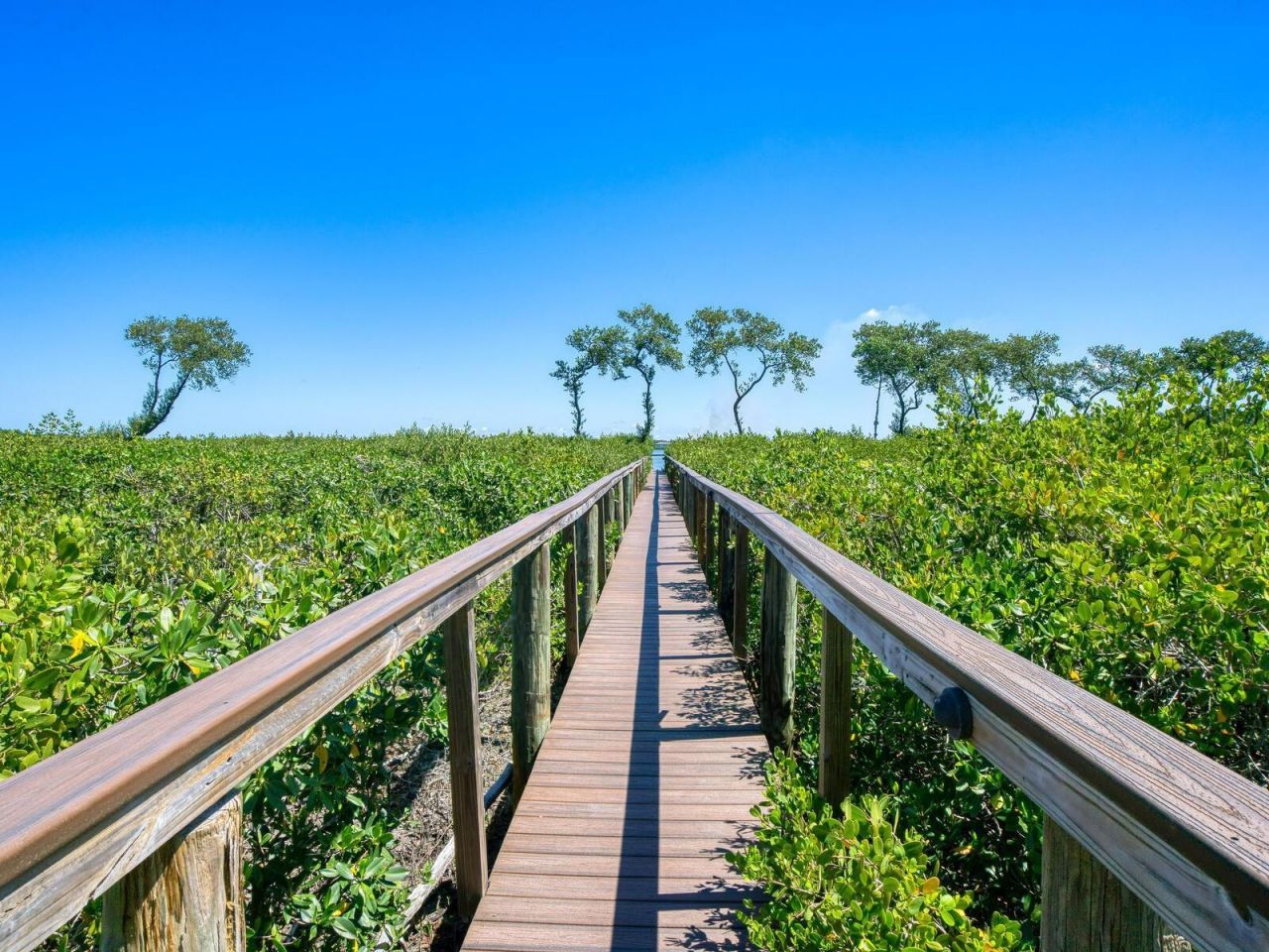 12518 Harbour Landings Drive, Cortez, FL 34215 Photo