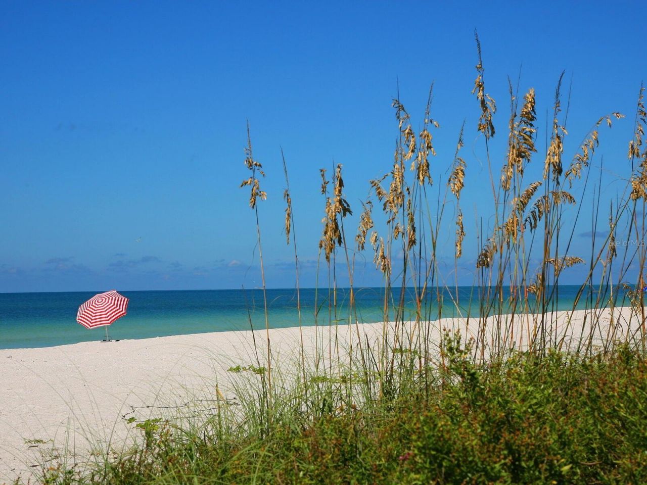 12518 Harbour Landings Drive, Cortez, FL 34215 Photo