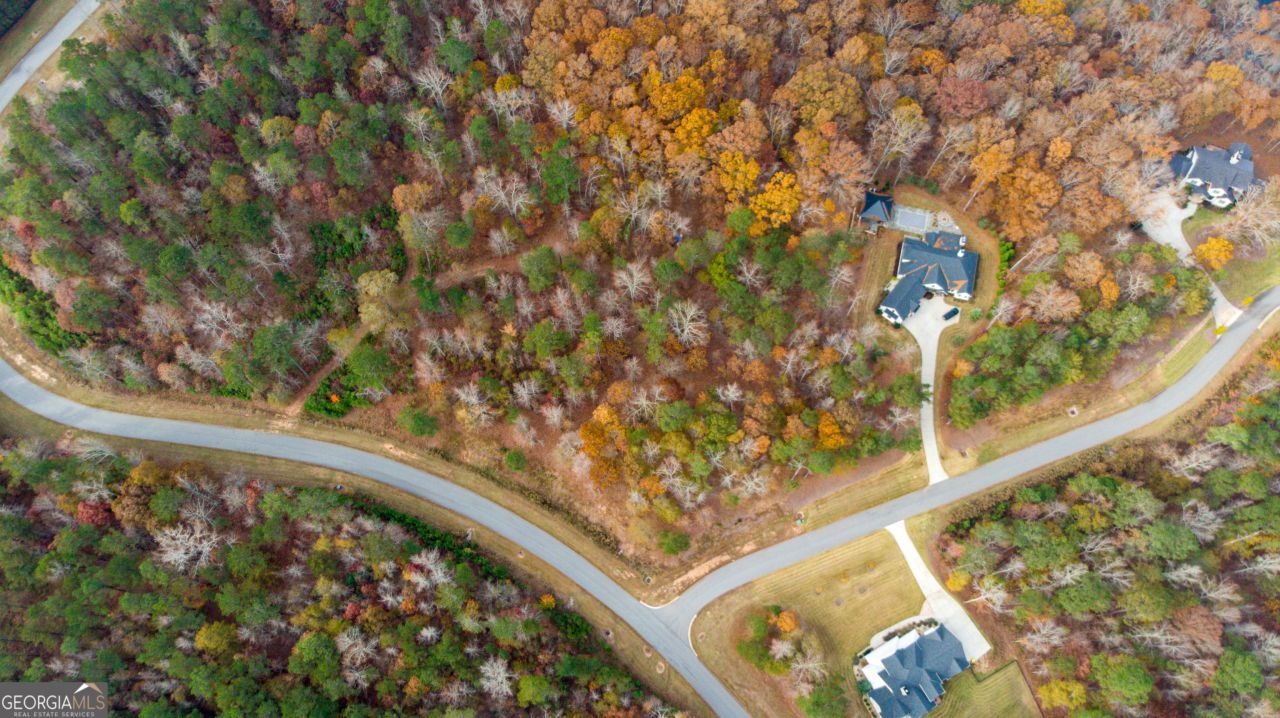 0 Alston Point, Lot #LOT 410/41, Newnan, GA 30263 Main Photo