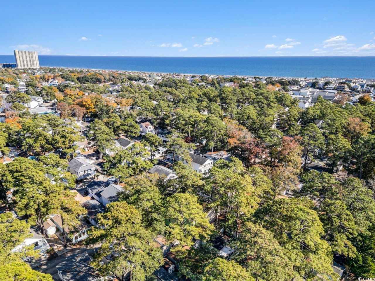 6001 South Kings Hwy. Photo 5