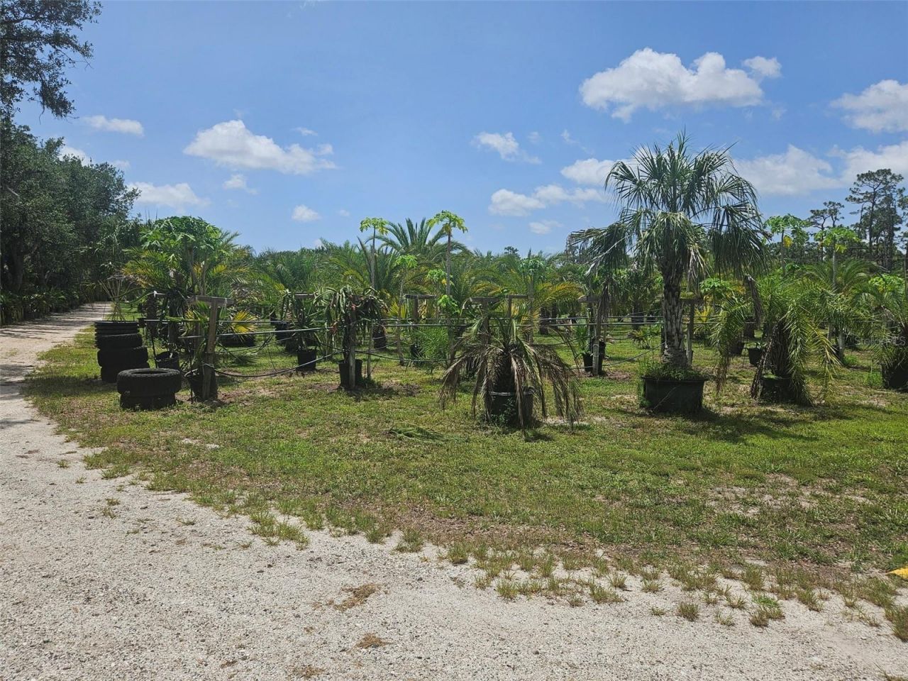 21910 Taylor Drive, Bradenton, FL 34211 Photo