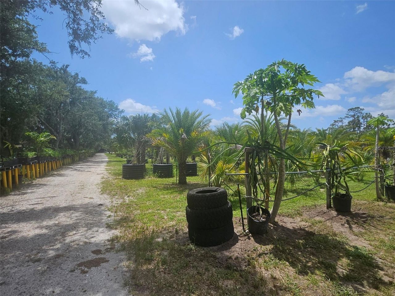 21910 Taylor Drive, Bradenton, FL 34211 Photo