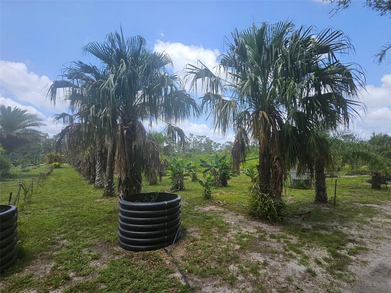 21910 Taylor Drive, Bradenton, FL 34211 Photo