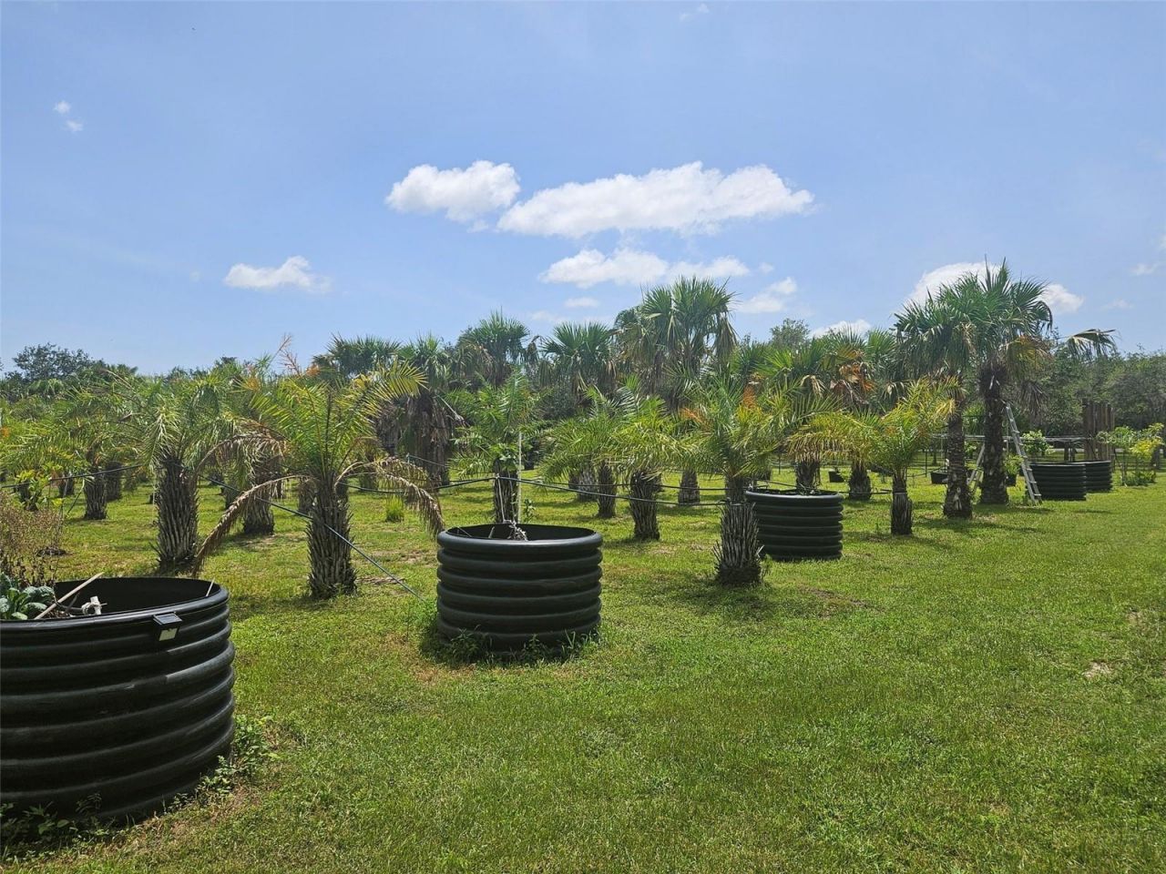 21910 Taylor Drive, Bradenton, FL 34211 Photo