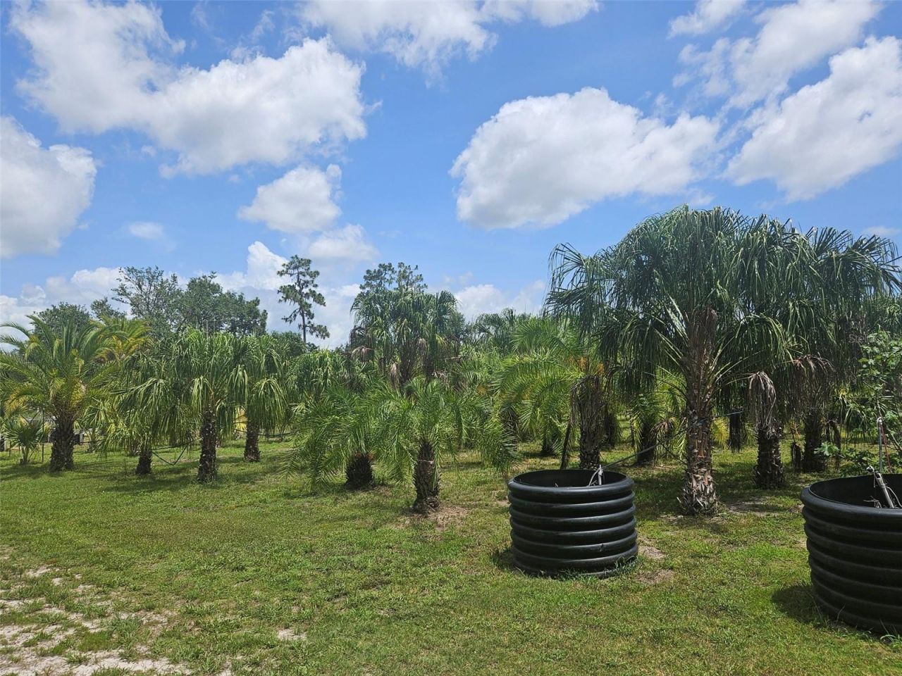 21910 Taylor Drive, Bradenton, FL 34211 Photo