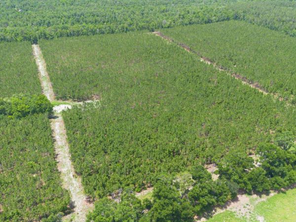 TBD-1 221ST RD, Dowling Park, FL 32060