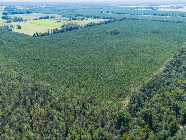TBD-4 221ST RD, Dowling Park, FL 32060