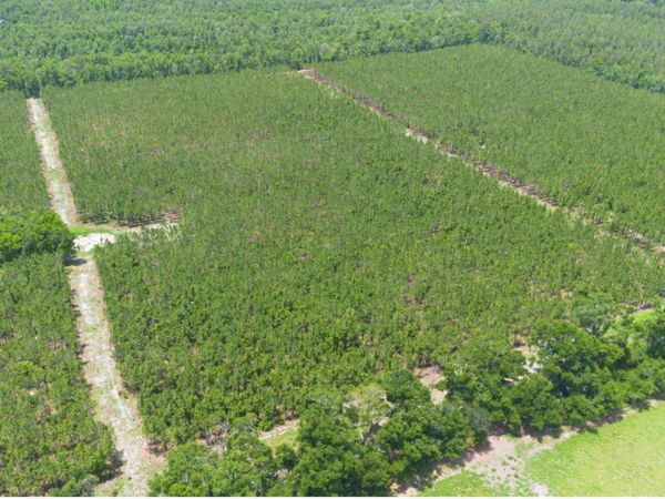 TBD-5 221ST RD, Dowling Park, FL 32060