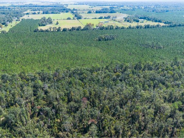 TBD-5 221ST RD, Dowling Park, FL 32060