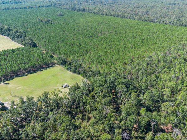 TBD-6 221ST RD, Dowling Park, FL 32060