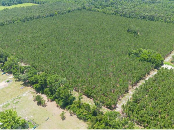 TBD-6 221ST RD, Dowling Park, FL 32060