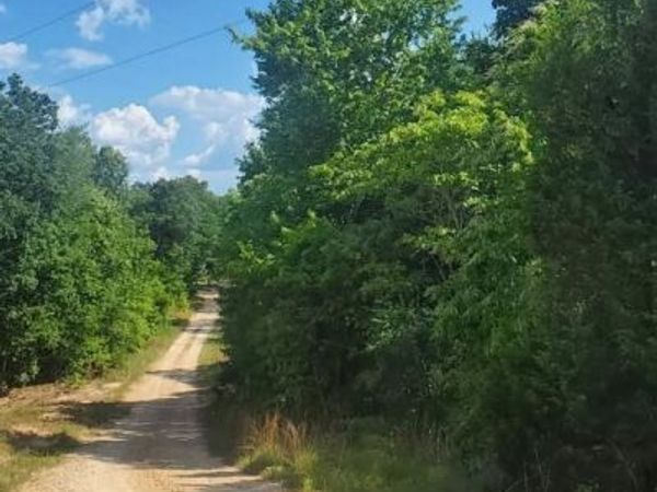 19 Chinkapin Road , Sugar Tree, TN 38380