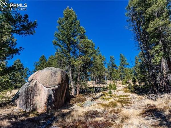 TBD Arrowhead Road, Florissant, CO 80816