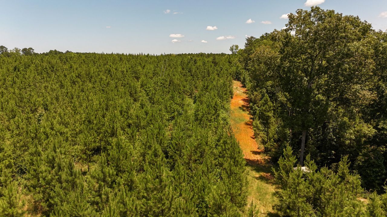 0 Ashford Ferry Road Photo 10