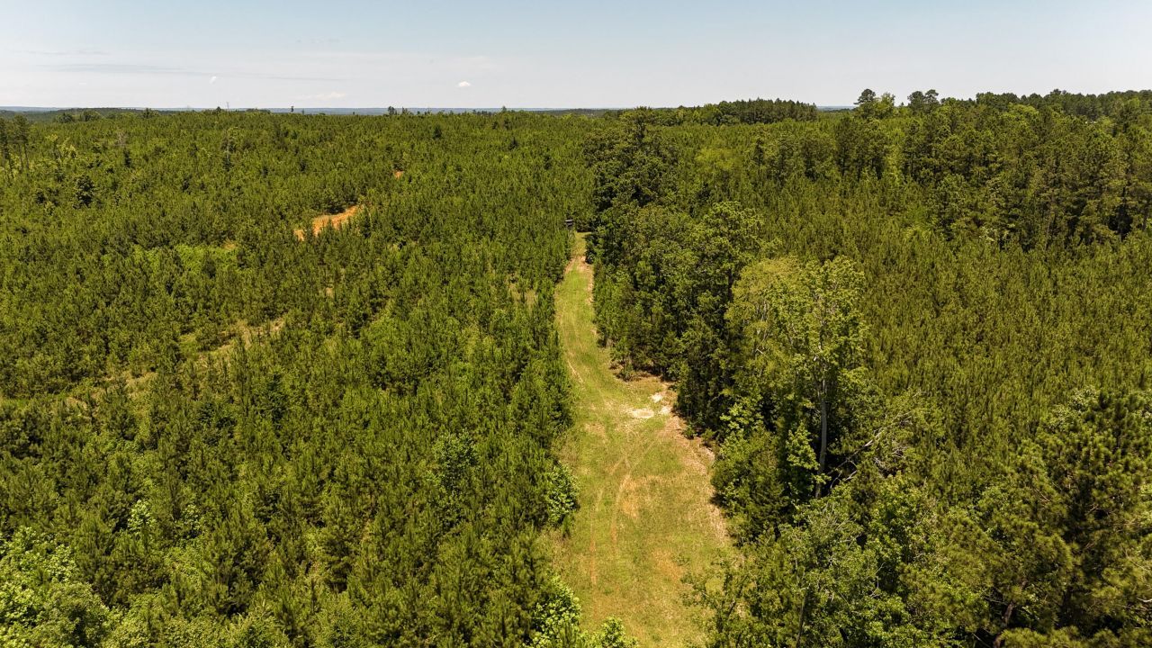 0 Ashford Ferry Road Photo 11