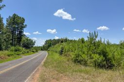 0 Ashford Ferry Road photo 4