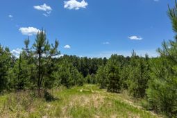 0 Ashford Ferry Road photo 4