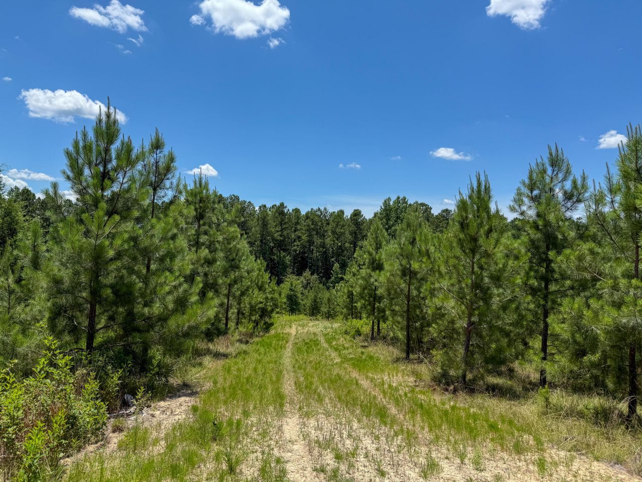 0 Ashford Ferry Road Photo 4