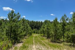 0 Ashford Ferry Road photo 4