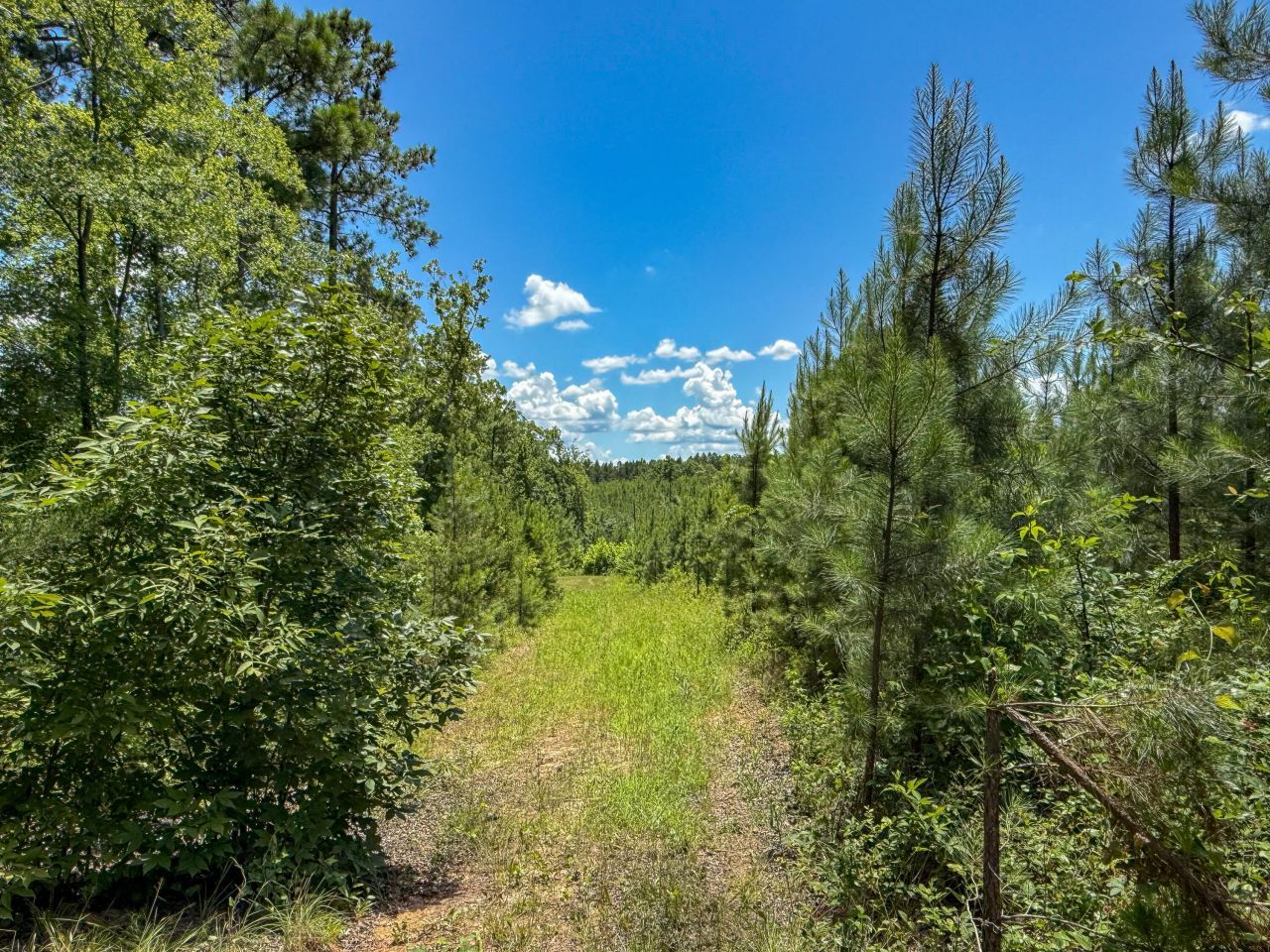 0 Ashford Ferry Road Photo 5