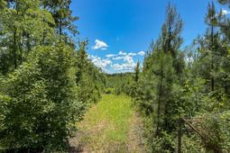 0 Ashford Ferry Road photo 4