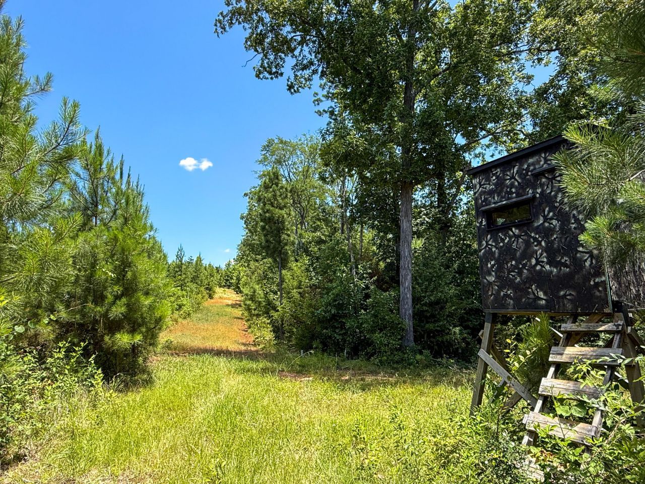 0 Ashford Ferry Road Photo 6