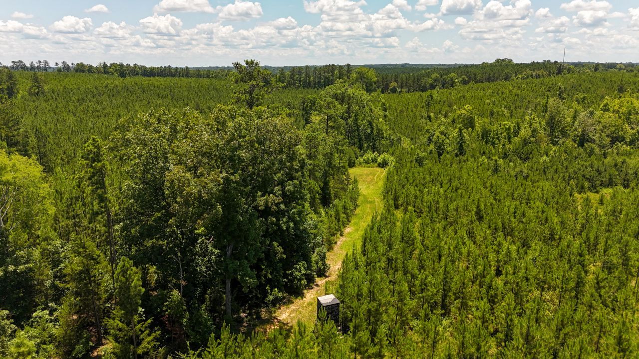 0 Ashford Ferry Road Photo 8