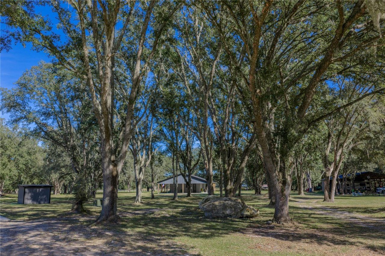 9550 Cr 614a, Bushnell, FL 33513 Photo