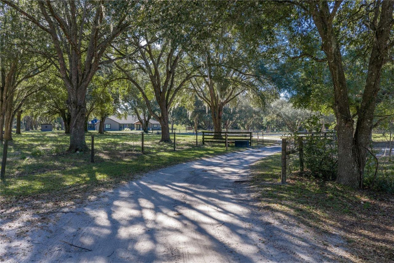 9550 Cr 614a, Bushnell, FL 33513 Photo