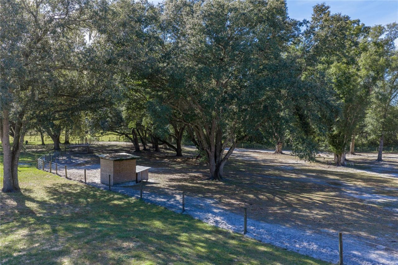 9550 Cr 614a, Bushnell, FL 33513 Photo