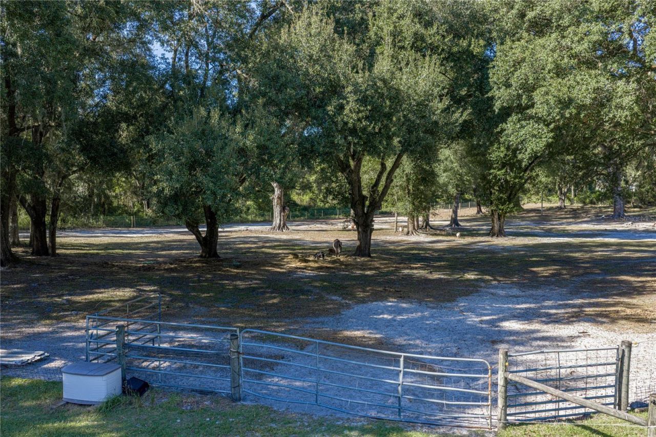 9550 Cr 614a, Bushnell, FL 33513 Photo