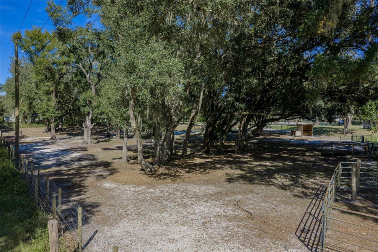 9550 Cr 614a, Bushnell, FL 33513 Photo