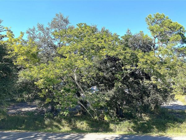 Lots 45830A,B and C NEW YORK DRIVE, TAMPA, FL 33619