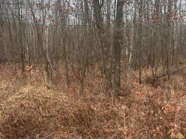 TBDx Lake Camile, Randall, MN 56475