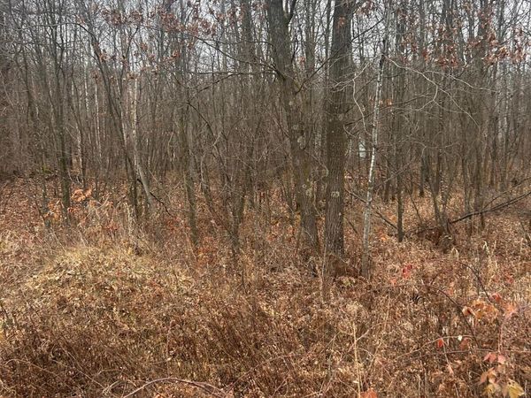 TBDx Lake Camile, Randall, MN 56475